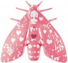 Test du détecteur de fumée Jalo Helsinki Lento